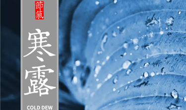 东升国际官网-追求康健,你我一起生长